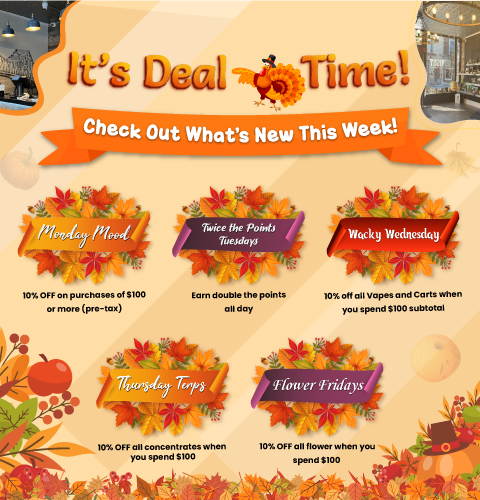 Weekly-Offer-Mob-Banner