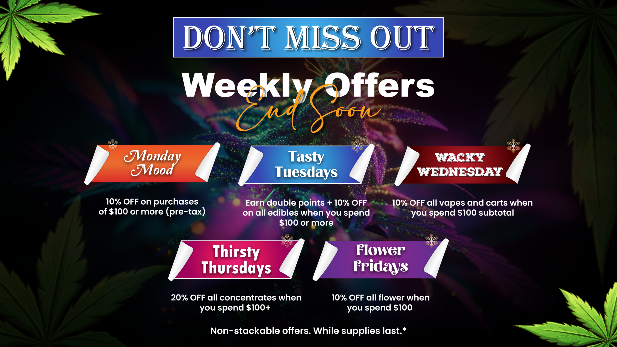 Weekly-Offer-Banner 9 1