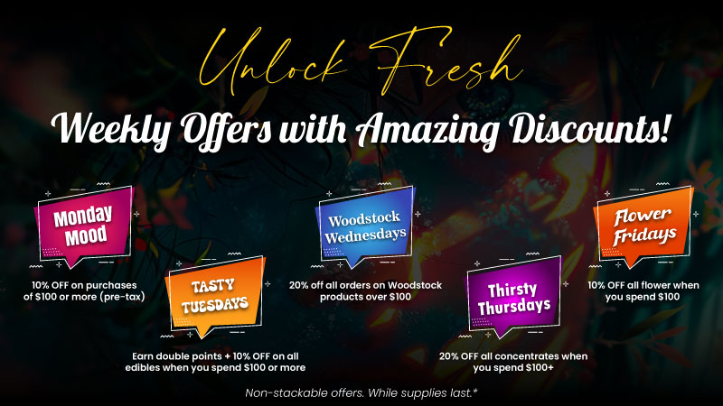 Website-Banner-Design_3 2