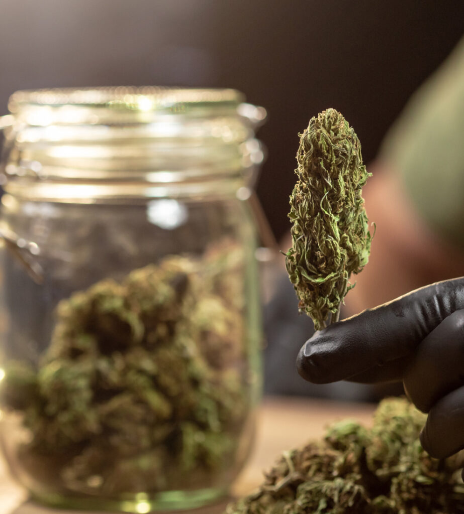 Discover Premium Cannabis Experiences in Westchester County