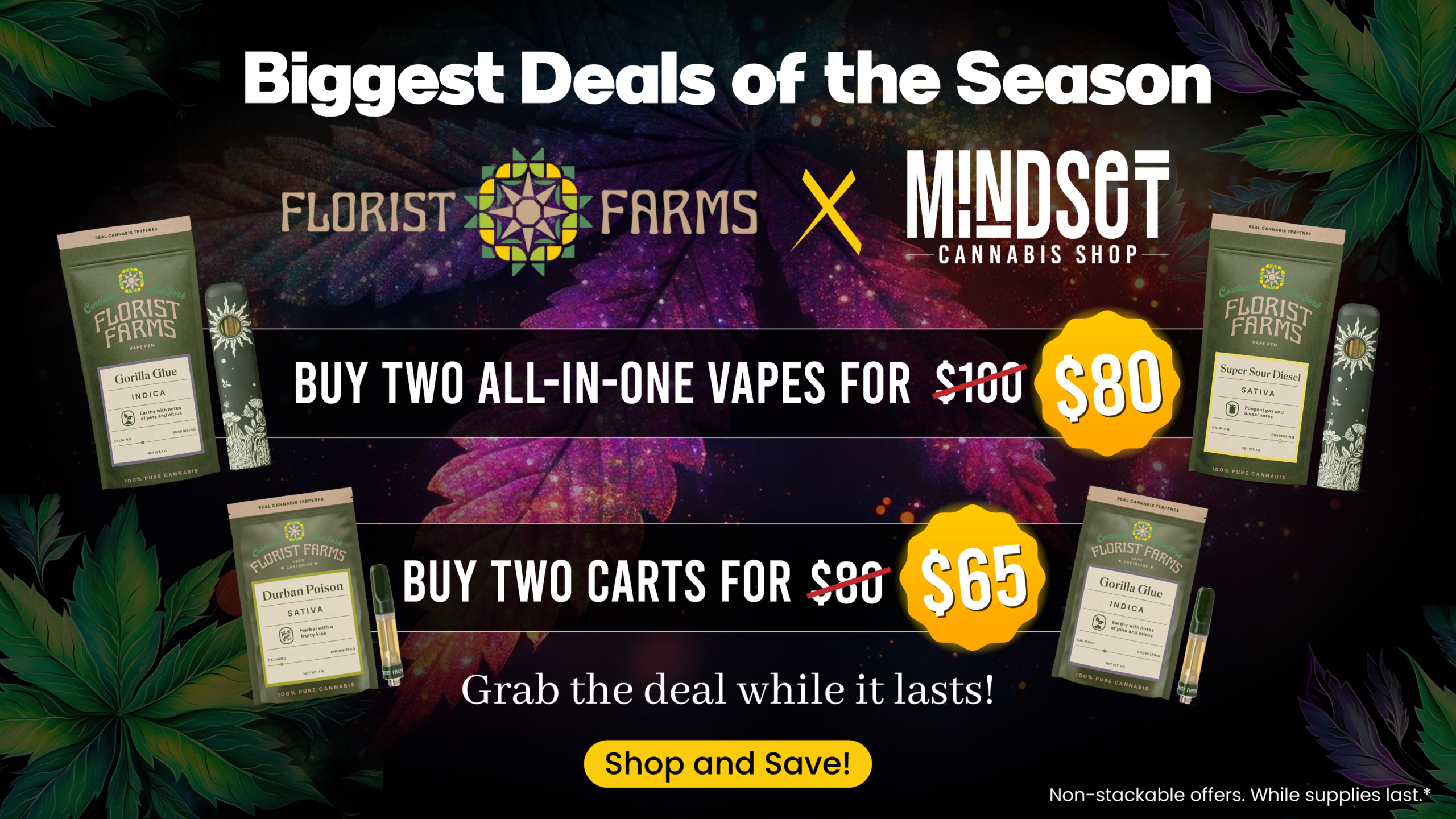 Banner-113-scaled-2 (1)