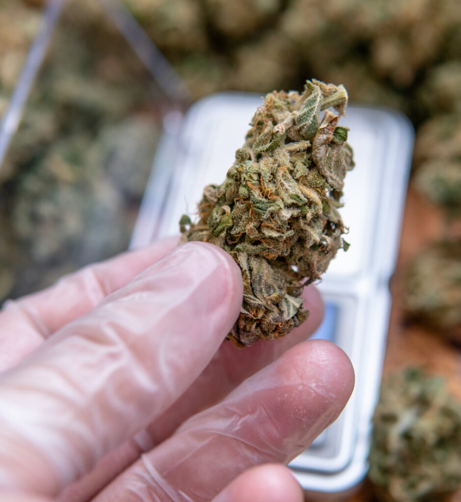 Explore High-End Cannabis Products With Confidence