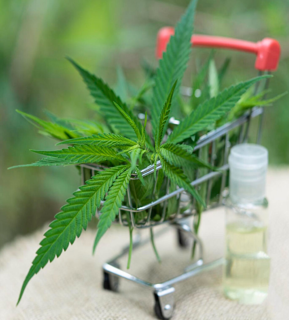 Your Essential Shopping Guide to a Legal Dispensary in Tarrytown, NY