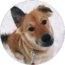 Mateo Aluma-Rinaldi profile picture